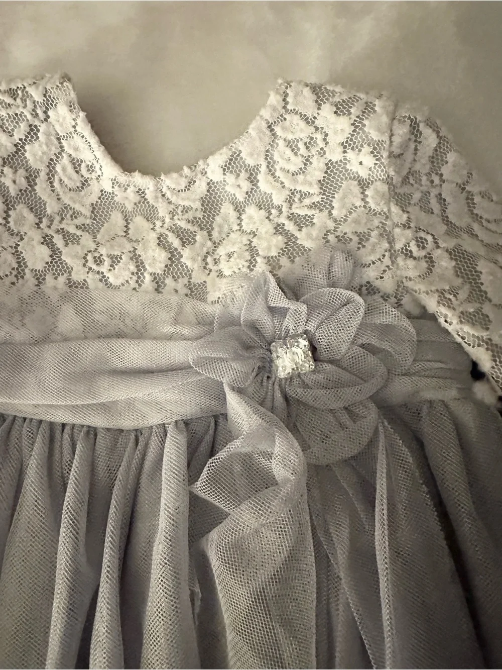 Sweet Heart Rose Silver-Grey Lace & Tulle Party Dress